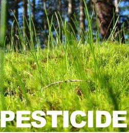 Pesticide