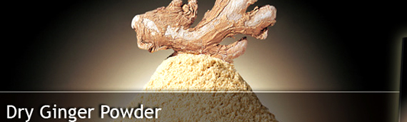 Taj Agro Dry ginger Powder