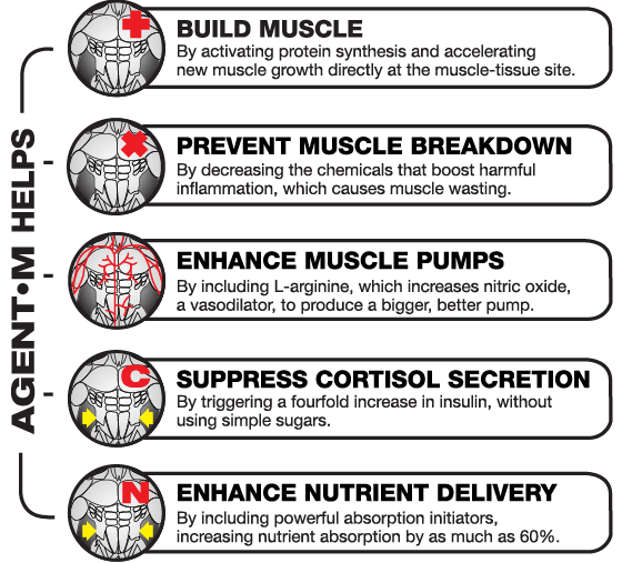 Branched-chain amino acid (BCAA) Taj Agro (Taj agro products)