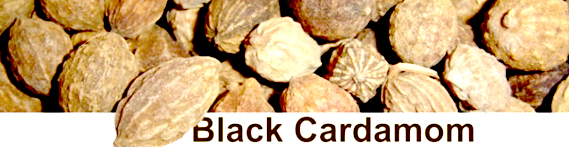 Black Cardamom