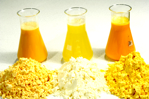 Egg Yolk Powder For Taj