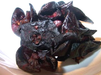 Kokum