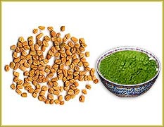 fenugreek