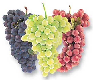 grapes