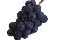 black grapes