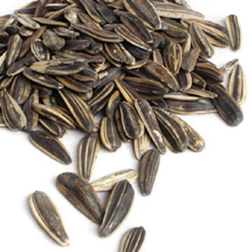 SunflowerSeeds