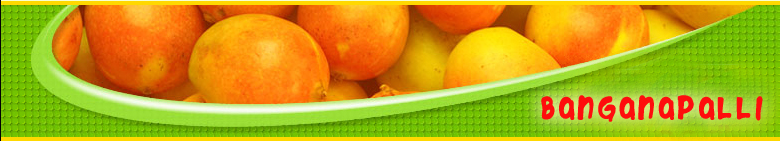 Banganapalli Mango Banner