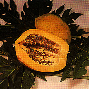 papaya seeds