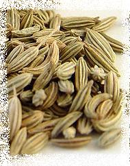 Fennel seed