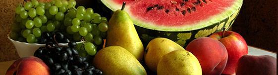 fruits top banner