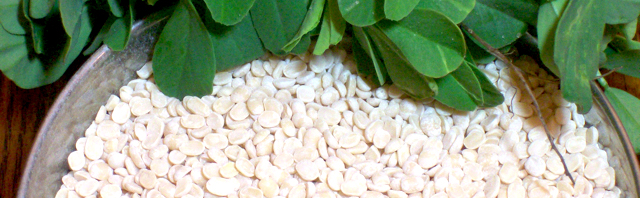 tajagro products Urad dal 